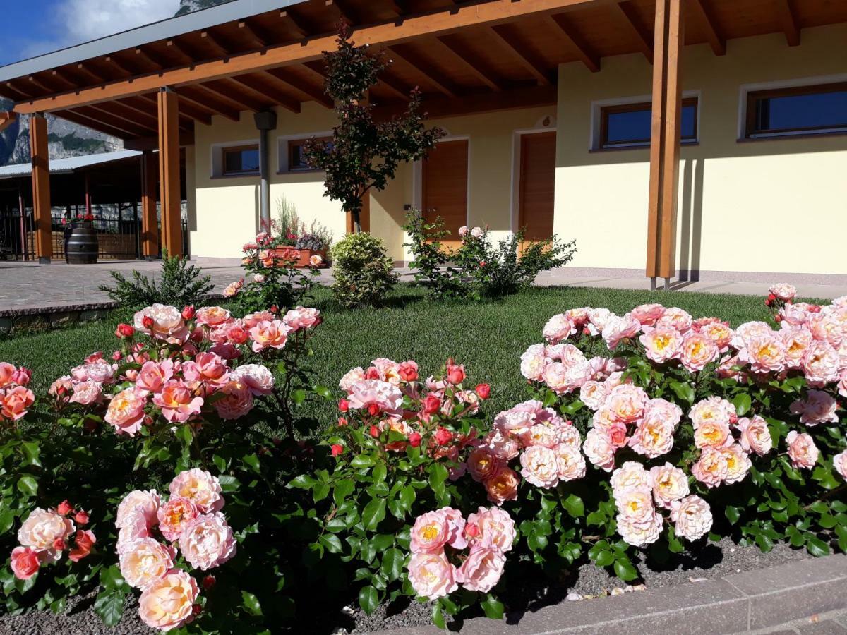 Agriturismo L' Isola Di Arturo トレント エクステリア 写真